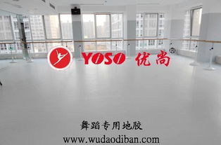 舞動藝術之魂——優(yōu)尚國際建材發(fā)展集團公司打造專業(yè)歌舞院專用舞蹈地板高清圖鑒